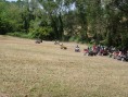 DSC00267
